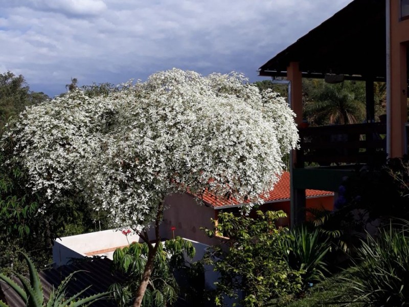 Casa à venda em Rio Acima 